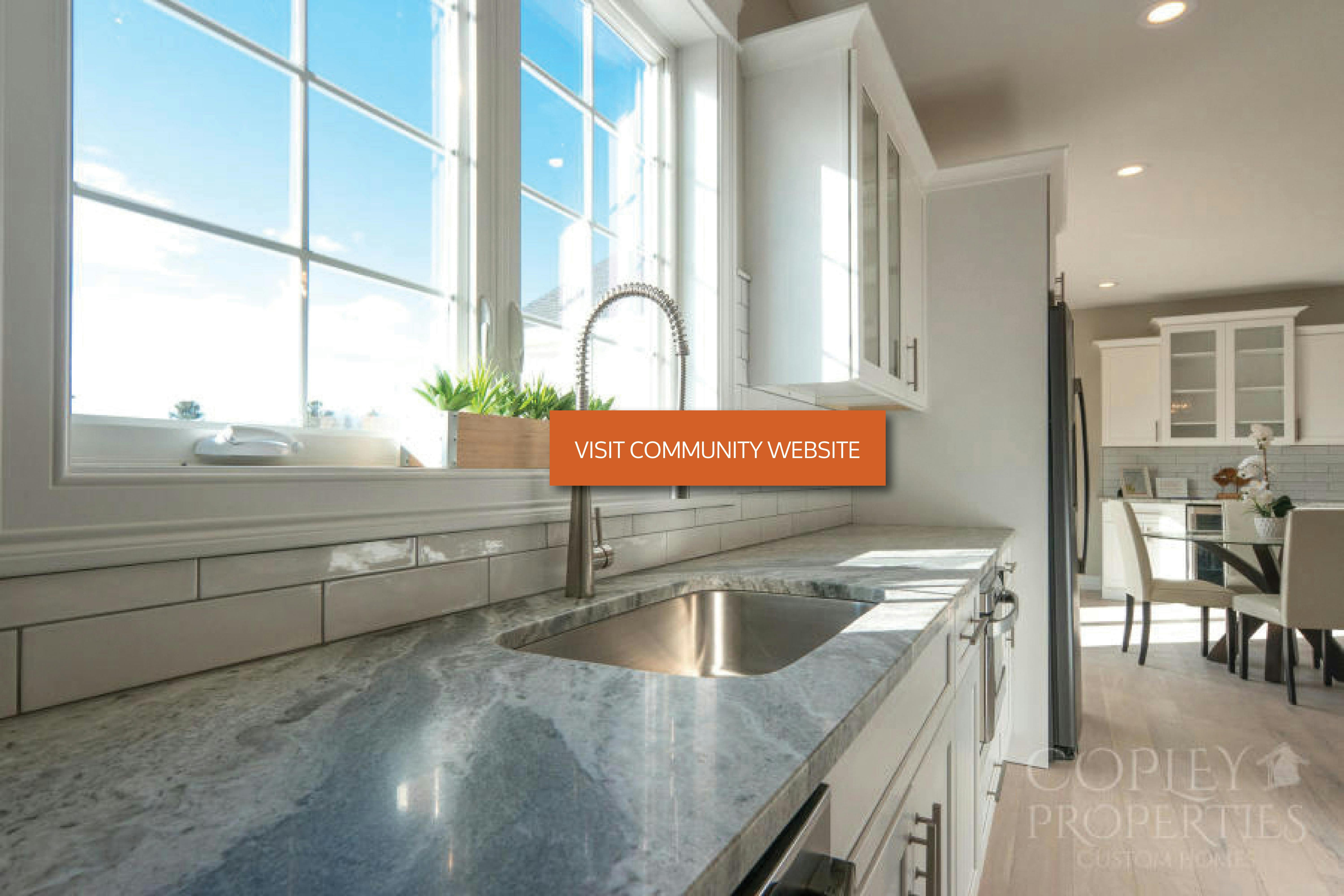 new home kitchen sink with visit community website button